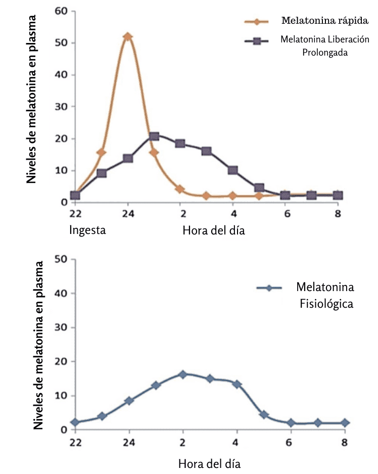 melatonina prolongada