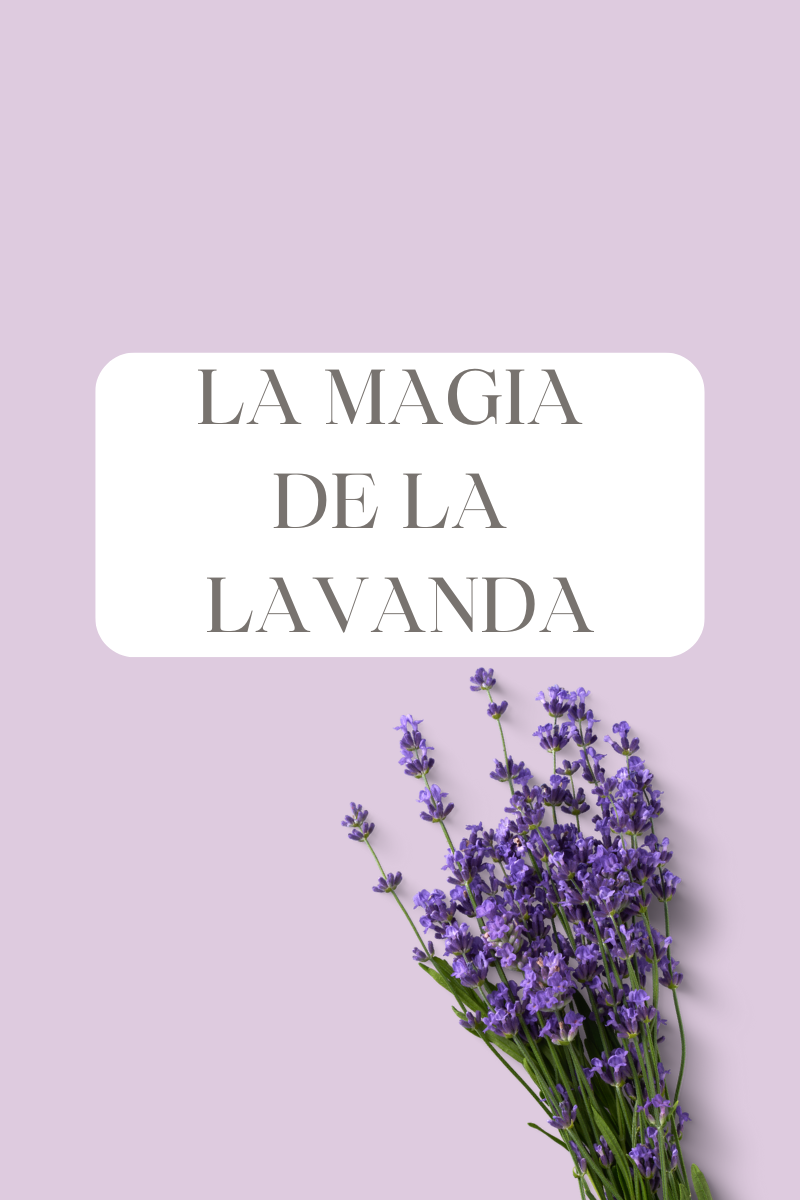 LA MAGIA DE LA LAVANDA