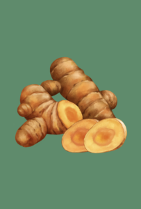 curcuma