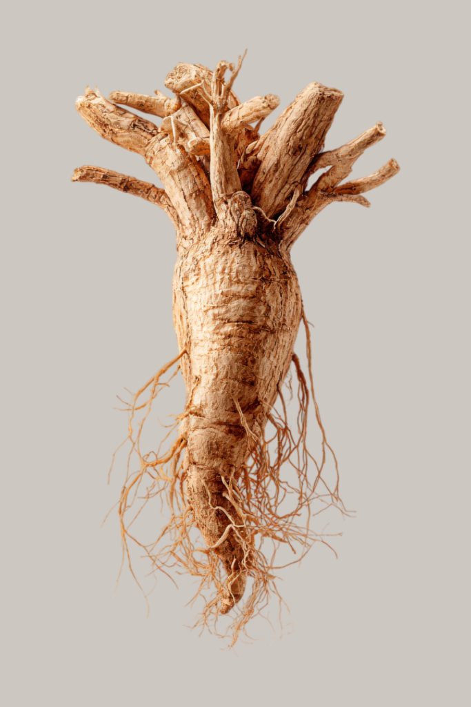 Ashwagandha KSM-66