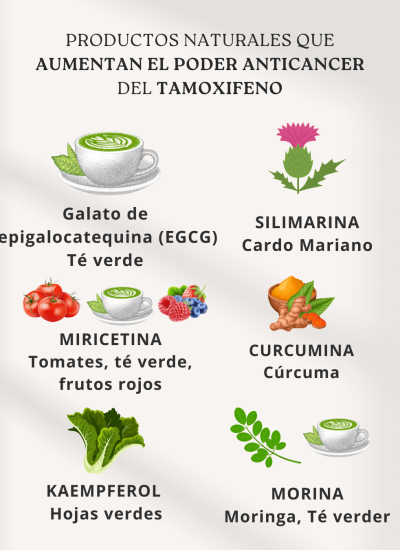 te verde y tamoxifeno