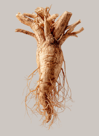 ashwagandha ksm-66 odile fernández ofm